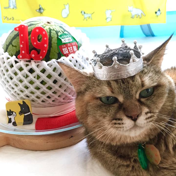 2f6914d2 cf6d 4ebe b306 3d9080a37e65 1535683694438