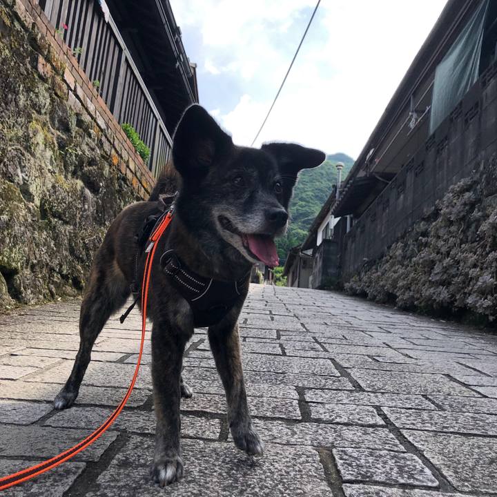 2f69273c 919a 41c5 83e5 533a3d8d950a 1628678963647