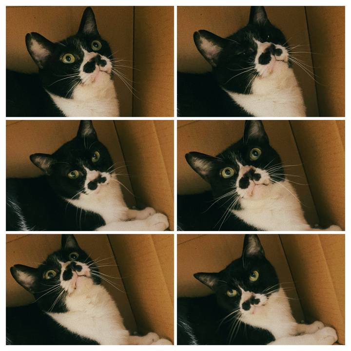 2f69277d 196c 4338 aee7 38be0c298931 1691451395609