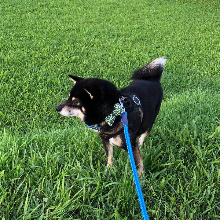 2f694689 ed6b 41cf 9662 edde1152e59f 1535412855115