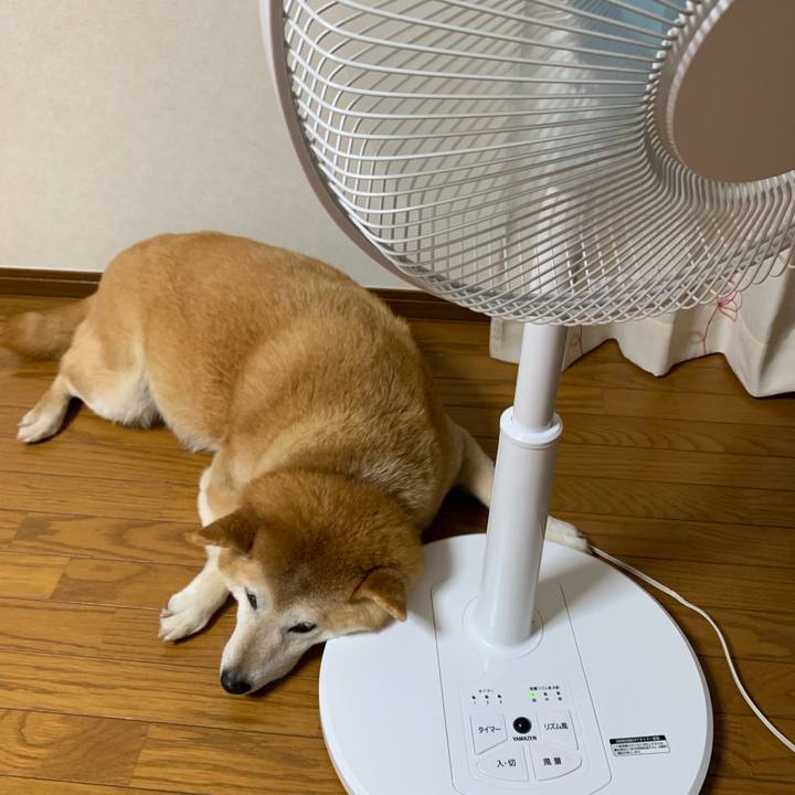 2f6994d2 888e 47e0 a9fc b64975304496 1564664053297