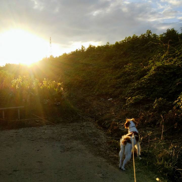 2f69b59f 6139 4825 a21c bcfd1d36ac23 1533731706657