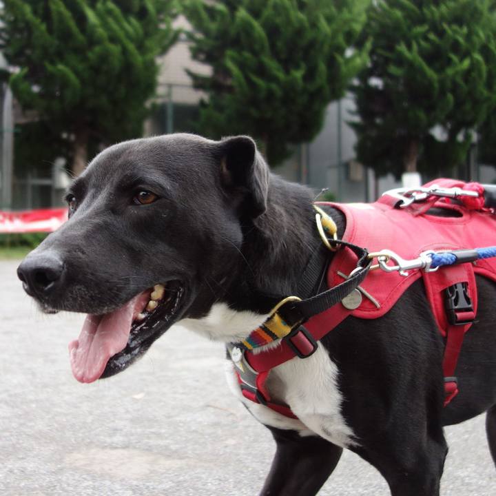 2f69b9f9 d702 4d86 8e73 6ddc96fc37a4 1588726368495