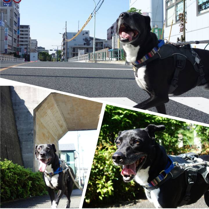 2f69db47 da27 493c 953c 971a3c384c87 1651541699589