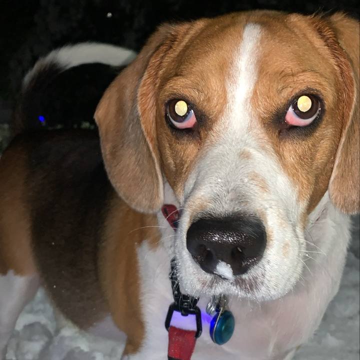 2f69df21 3e83 438c 9fc0 47881d767946 1641465980414