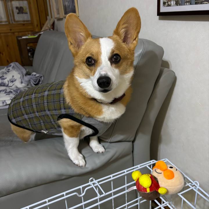 2f69e9dc 169c 4f4d ab5b 541b808d6221 1760526687448