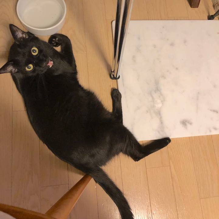 2f69f4ed d7a2 4d70 9347 0df8335618ec 1567085718913