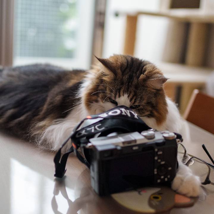 2f69ff94 5c14 43b1 a0e1 15984067aa10 1726451261878