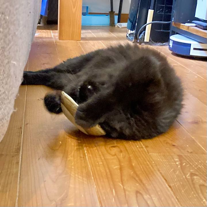 2f6a2368 92e6 4bb3 bb0a 4248ebf47364 1753707600884