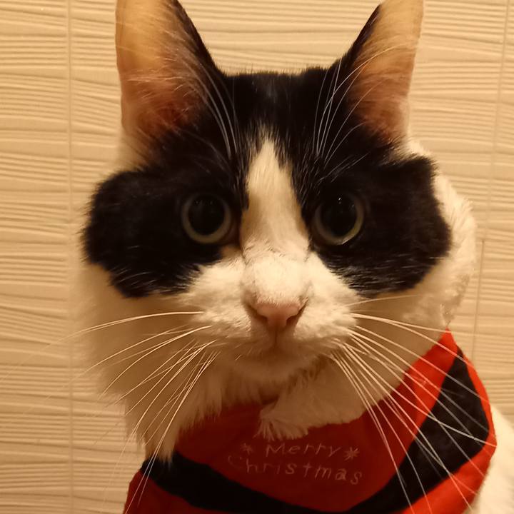 2f6a3af0 a03b 4ae0 affa 2a89ef9215b8 1640346148548