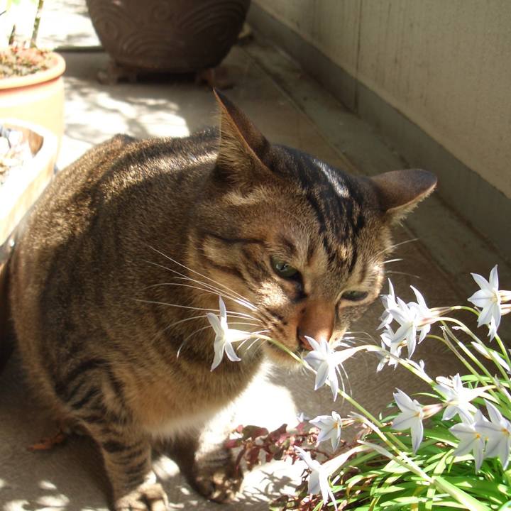 2f6a7c70 2024 4b3c 88e2 656ac793a134 1572049198634