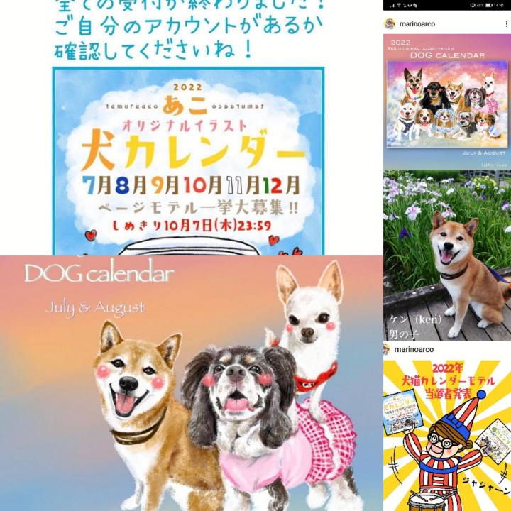 2f6a9ccb 6332 4cd1 9cb7 e33e4c59b28a 1634722468197