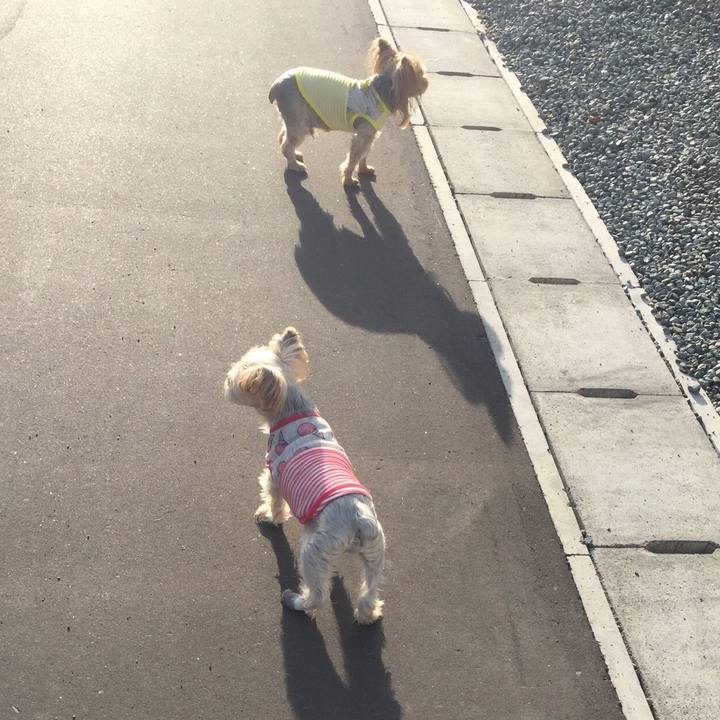 2f6aad11 af01 428f 8dff 655b81f0a472 1568192119126