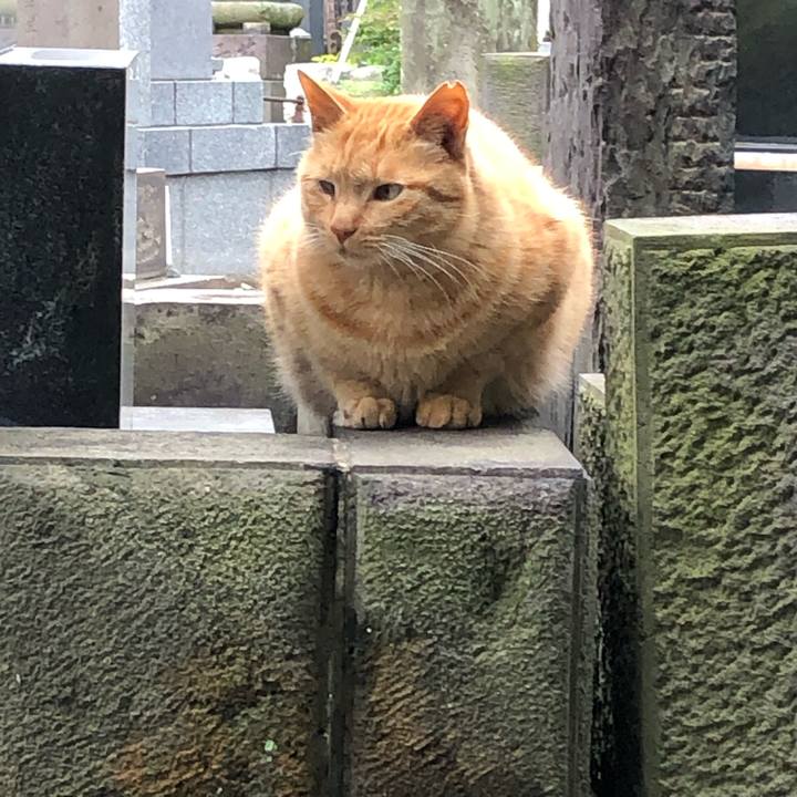 2f6aafca 025f 437f a0bb b7f3ed0d1351 1562345419826