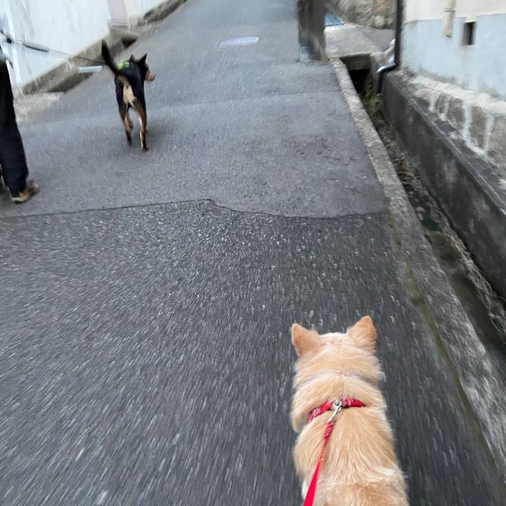 2f6ab7b4 5c64 4ff5 8db8 debc98d6b970 1647045055052