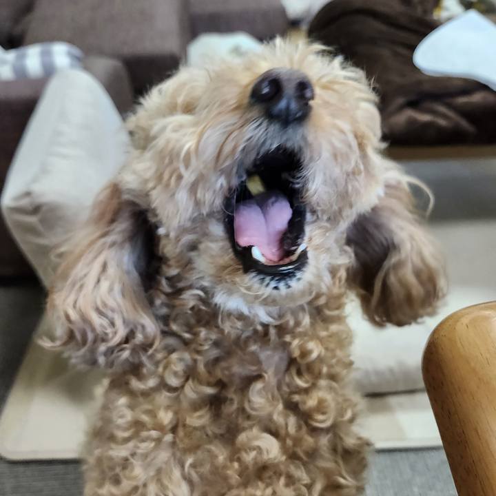 2f6ad64e 69f5 4bf0 8ce6 e191e4be4378 1773012385029