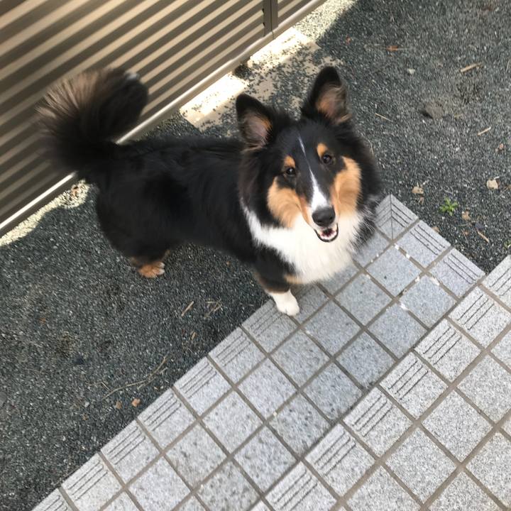 2f6b0360 93ac 450d 952e 911e1f04b0a4 1524959281099