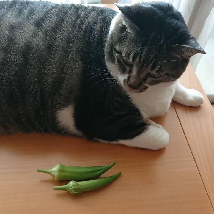 2f6b18d9 5681 4cc8 8e2c 262103975d09 1535155121482