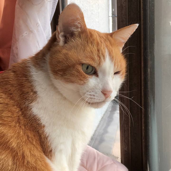 2f6b2066 ea61 4c57 a692 1e09e1b1b445 1580090052280