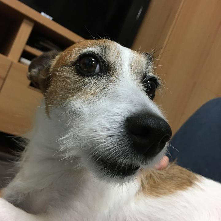 2f6b24e9 ba99 46bd 969d 5361c86519d8 1597538613685