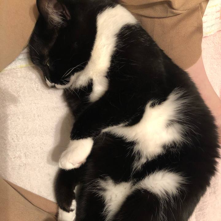 2f6b3797 3406 4217 ba69 d2cae8cdb4f2 1593573912539