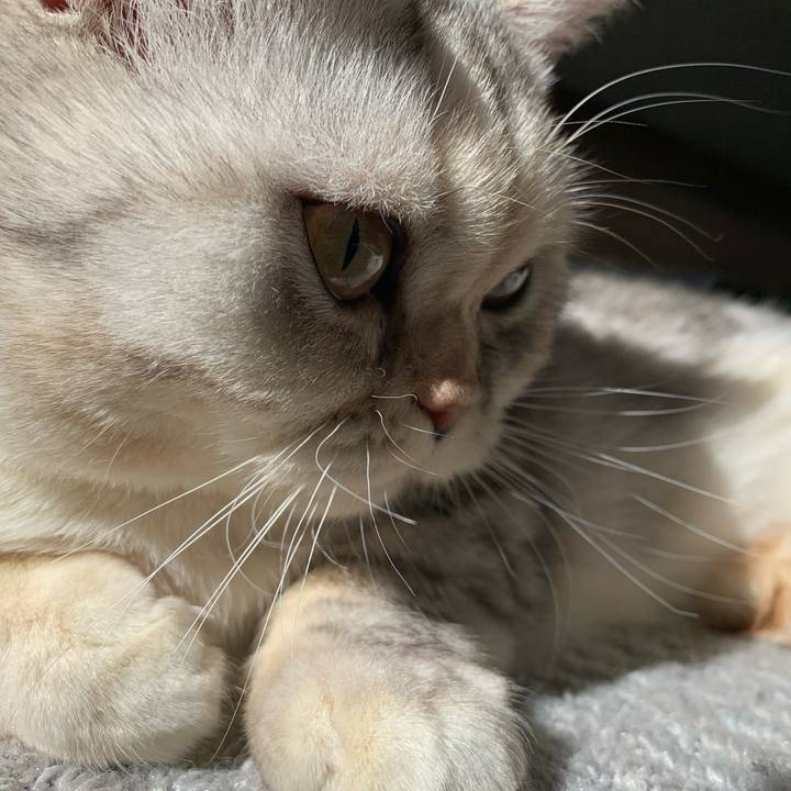 2f6b392e 3ab9 4b33 8a36 8540996adc8f 1709425738448