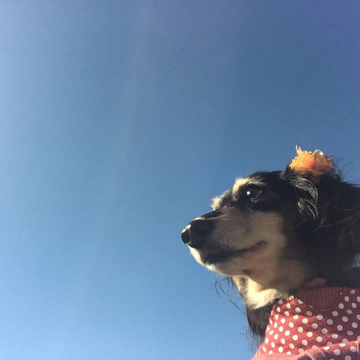 2f6b79db d97a 435f 89e4 1a88c7689046 1542241441792