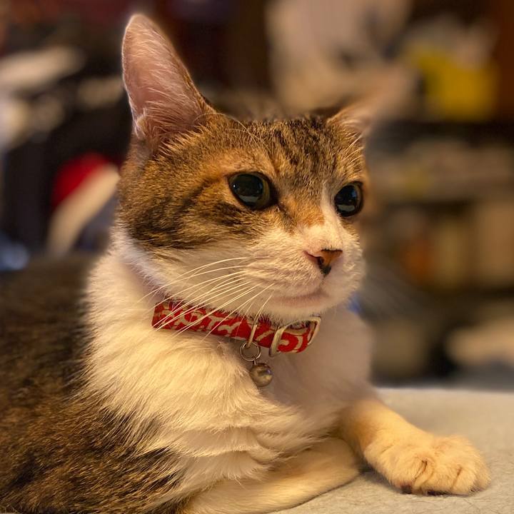 2f6b7fb3 e353 4e83 98ed f90be0a5484b 1575197075526