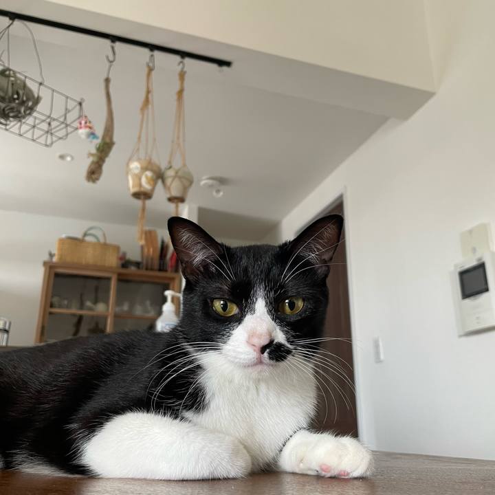 2f6ba924 e304 41d1 8668 3b4281f2e133 1723814941848