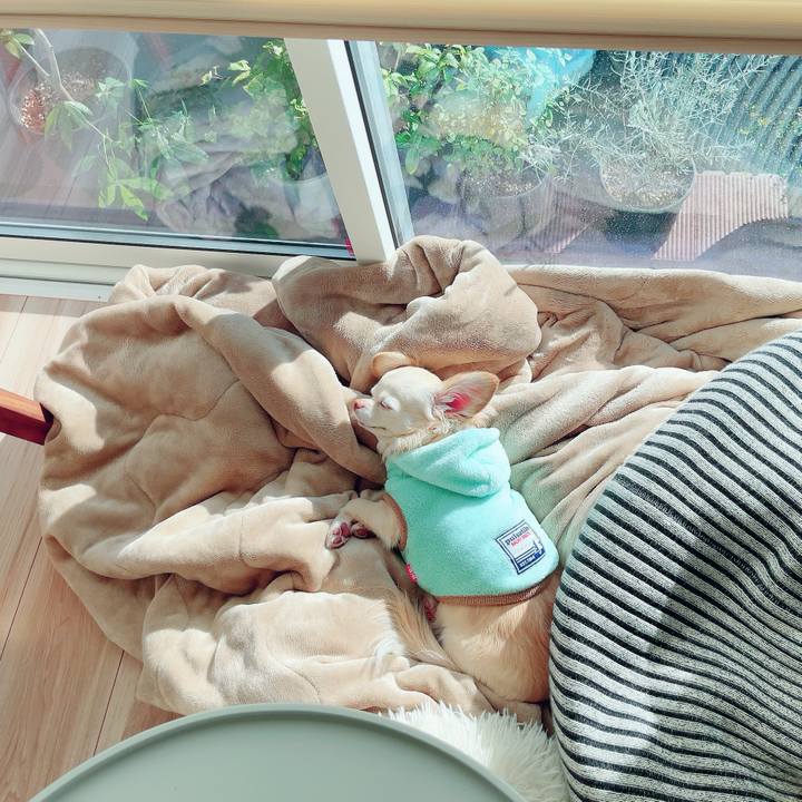 2f6bd1f9 4cd5 416f a15e 7f36cdfc997f 1700528153175