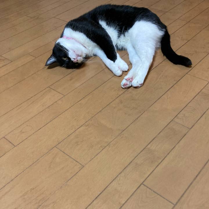 2f6bf06f 94f5 47a6 8e06 f296a4ecabba 1656320428172