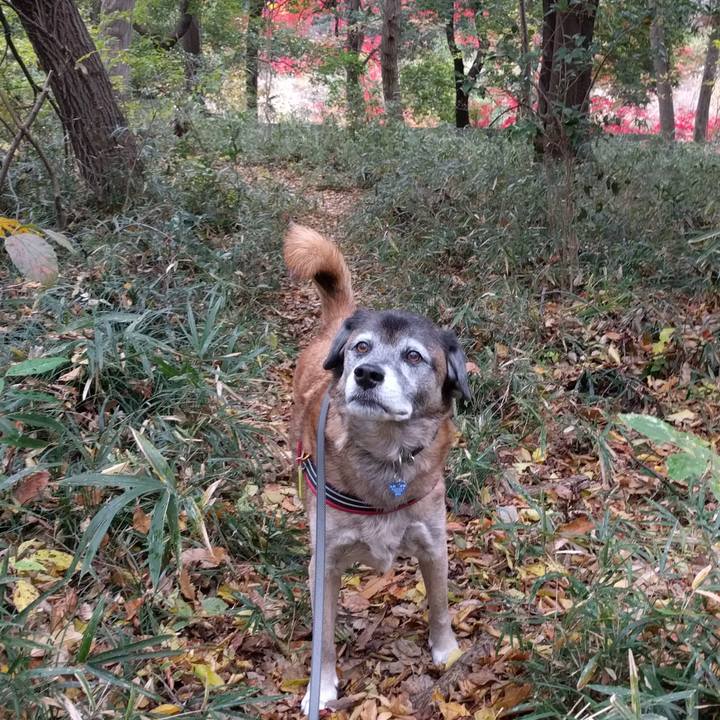 2f6c19ab ed18 4876 9b9b f9621a0f4243 1543967301396