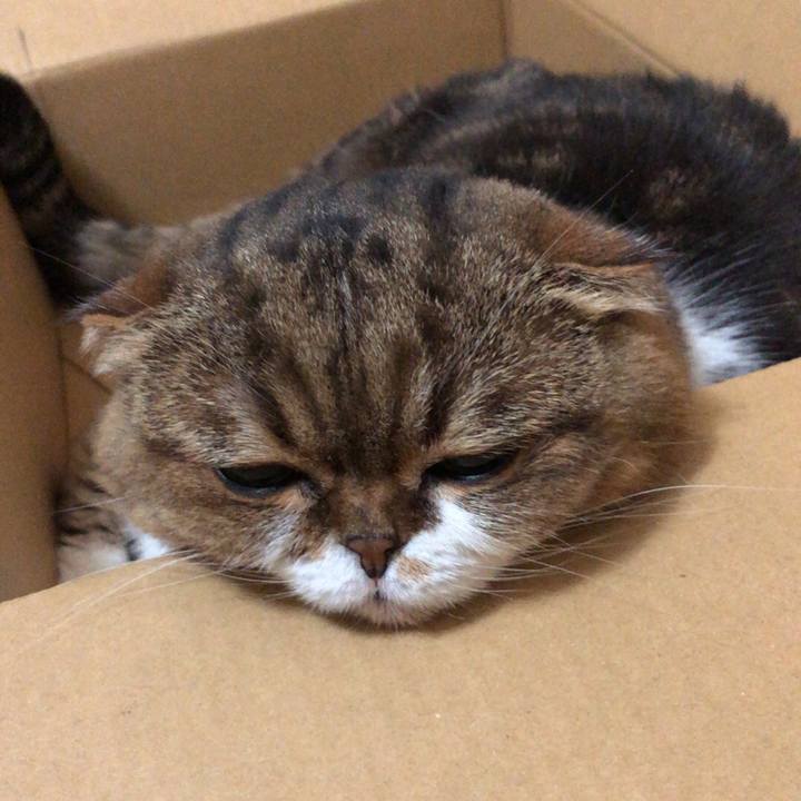 2f6c25e0 1a62 4916 8180 8dbb24687ad1 1540569322856