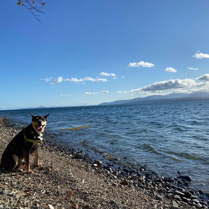 2f6c3213 aac5 4ba1 8df4 f71b61ee937a 1633519722423