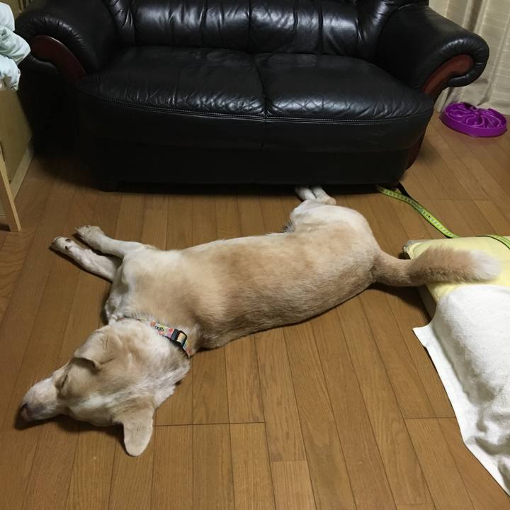 2f6c3dbd eaa2 4a59 9b41 ed0243ffa063 1533391760687