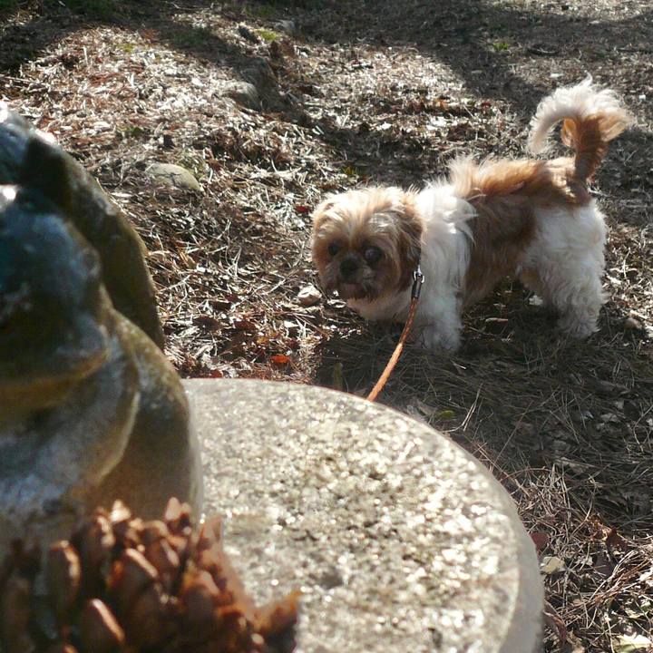 2f6d2977 fbf9 4ce1 832f 38ad3e8a7a8c 1548571572583