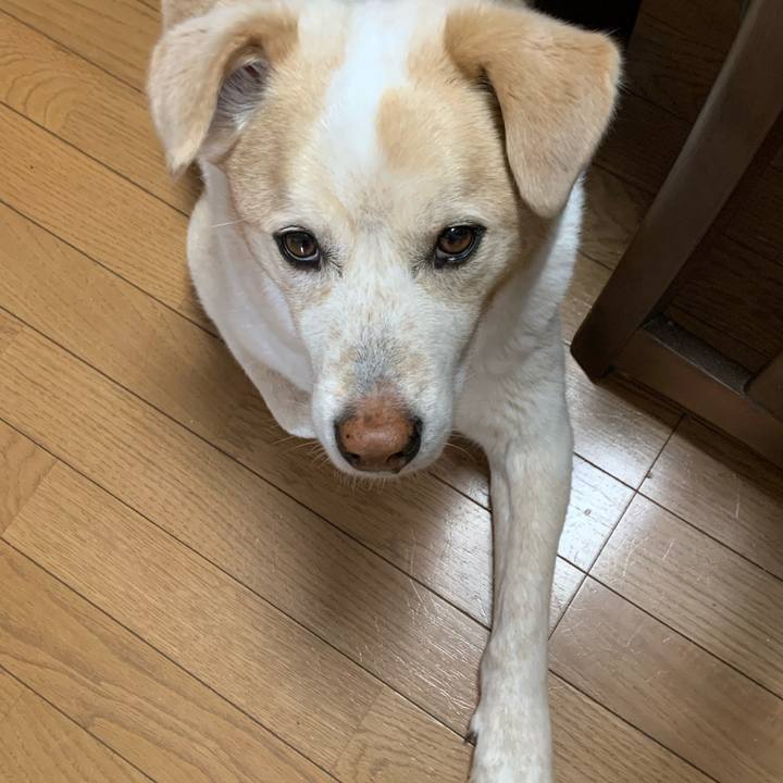 2f6d78df 374d 4d66 ac9e 67cb7c5ef2ba 1619829673639