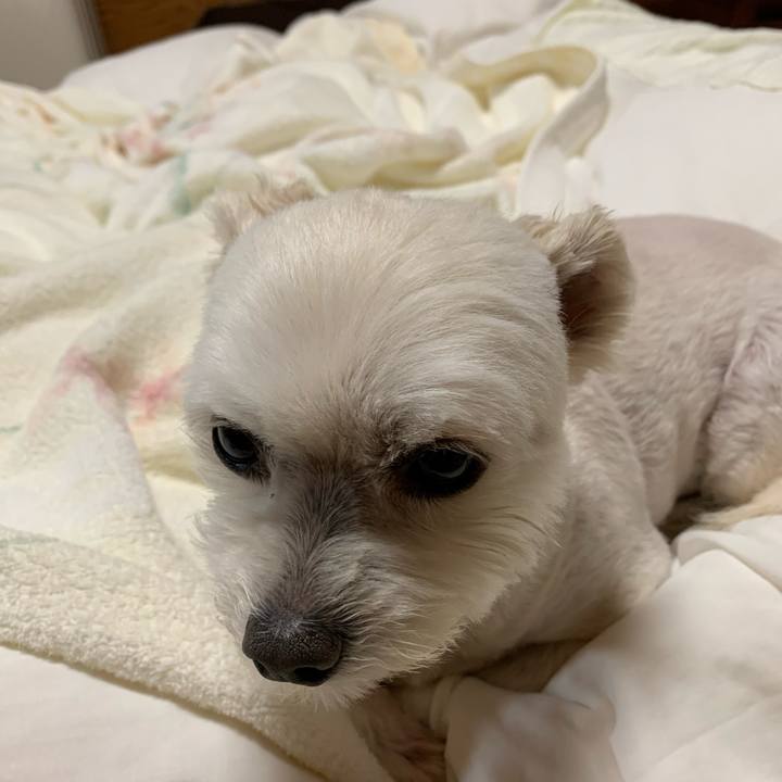 2f6e1cf7 d2ec 4445 b83c 4b0dc73bd7bc 1621250890741