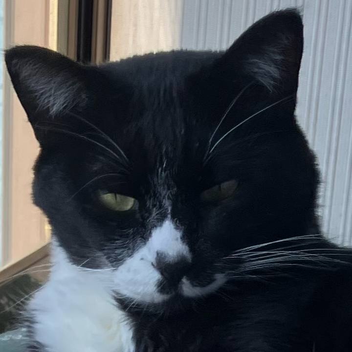 2f6e221a b16c 44ad a8db 63e469aadec4 1732941034459