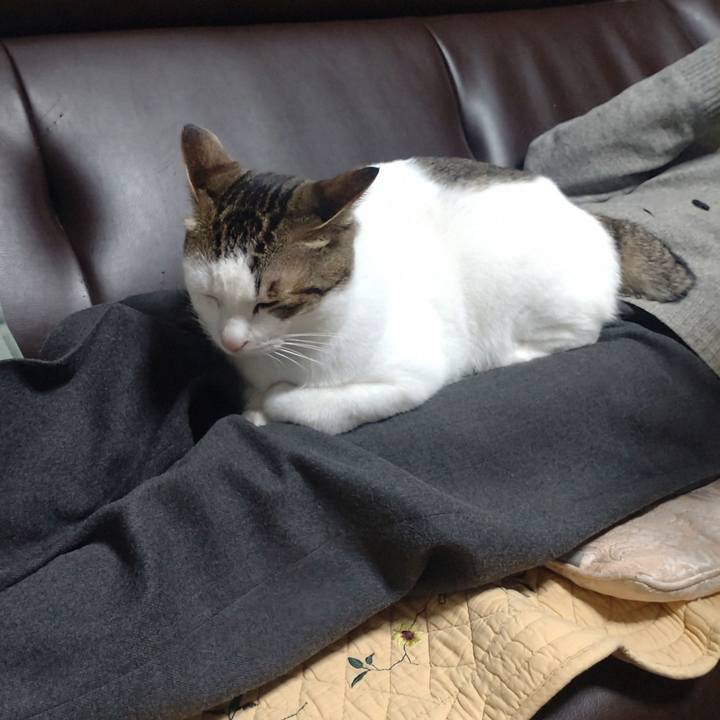 2f6e576a cba4 45d8 be52 34849bf209b0 1761468941695