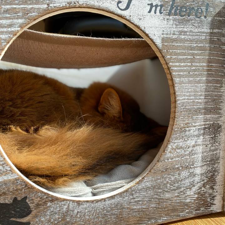 2f6ed3a4 e126 4991 9bba 0faa9915c91d 1676431149499