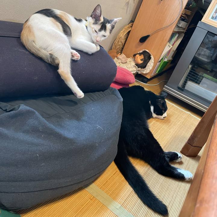 2f6ed461 9e3b 40aa a86f 59261babe4f5 1659825474112