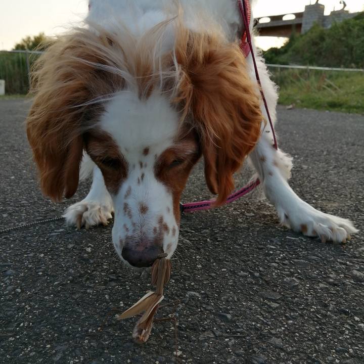 2f6ef8d4 7c9e 4841 9522 d8448bbc0632 1602588721794