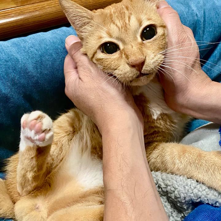 2f6f1b11 c27a 465d aea7 00809d6349fa 1764542845065