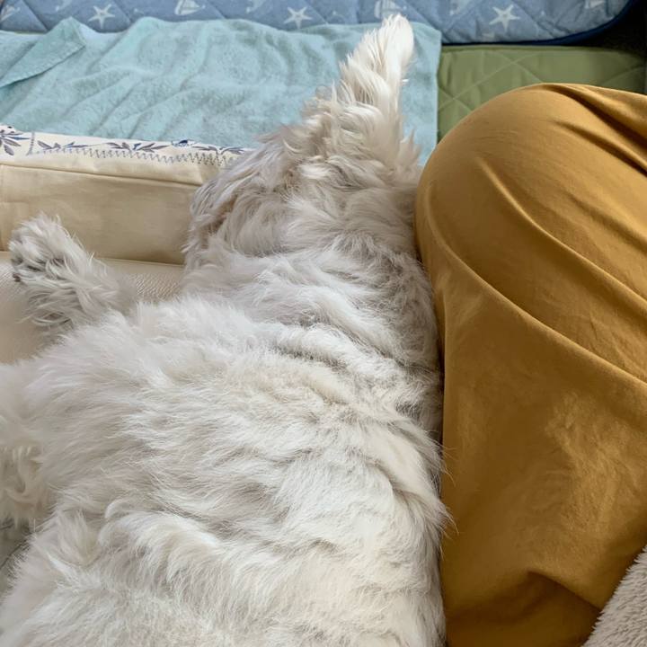 2f6f1f05 c228 4c1f a0be f3e52fea124a 1719217002475