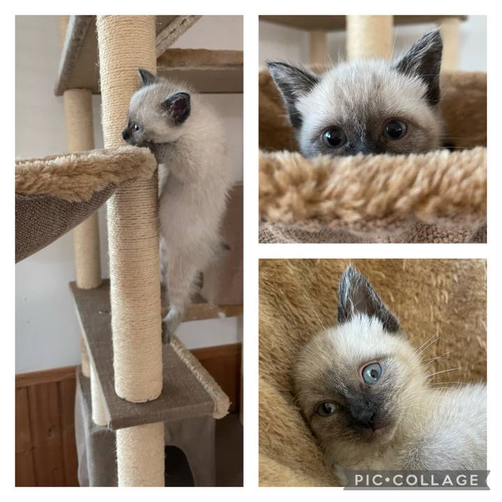 2f6f3ee2 26ac 4561 b330 bb653742fe80 1686088368176