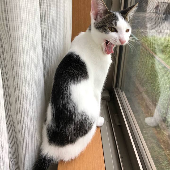 2f6f5305 7b9b 4a57 8b34 8332ecb9661c 1569915439566