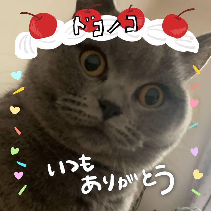 2f6f8bdb ee4c 4882 aef1 ebe8433aa058 1685937140007