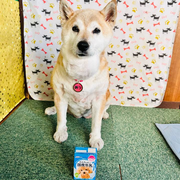 2f6f9f7f 2bc8 4b40 91c6 c37434097bec 1751451000991