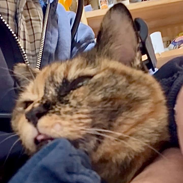 2f70149e 5149 4349 88cd 9d9fc3e939fb 1761712671795